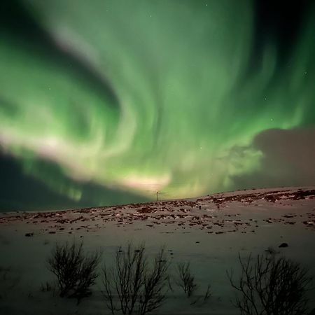 Leilighet I Vadsø Buitenkant foto