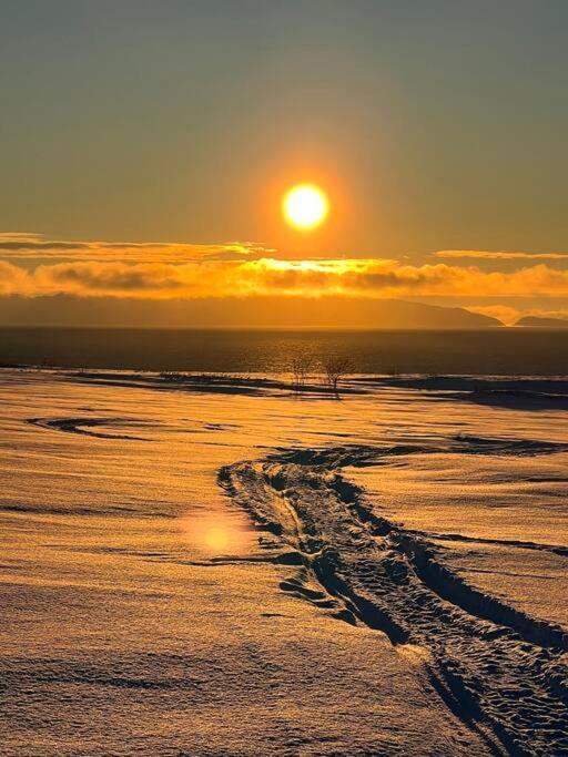 Leilighet I Vadsø Buitenkant foto
